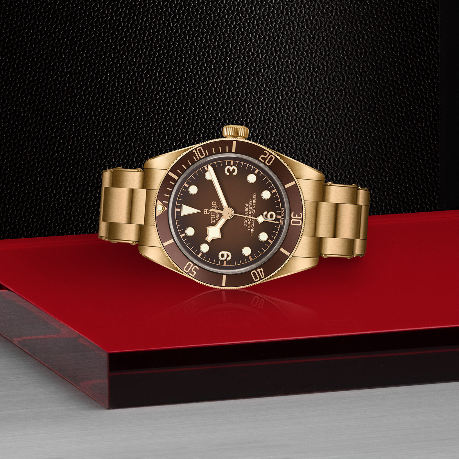 TUDOR TUDOR Black Bay 58 Bronze at Royal de Versailles Jewellers