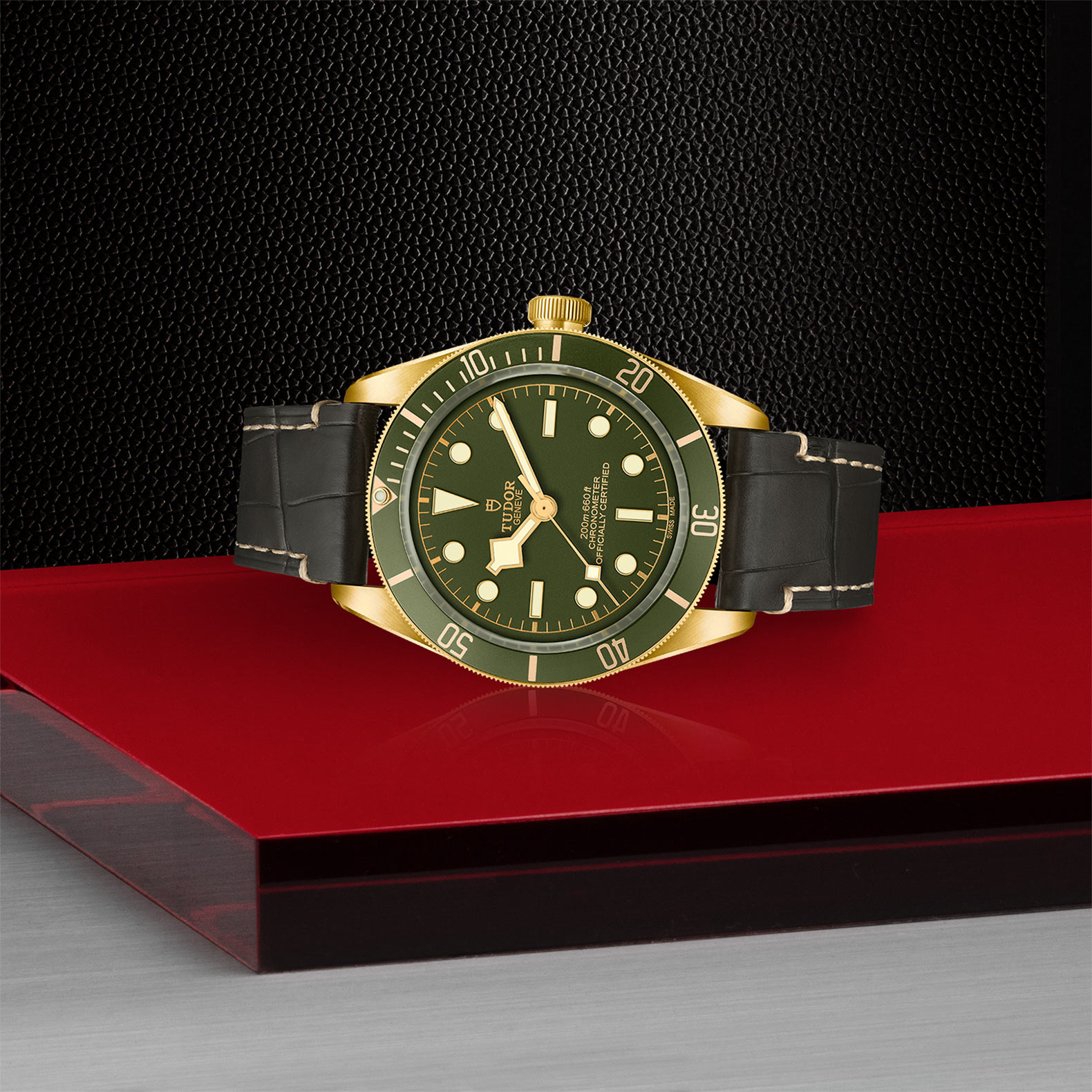 Tudor black bay 58 gold 2025